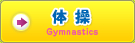 体操
